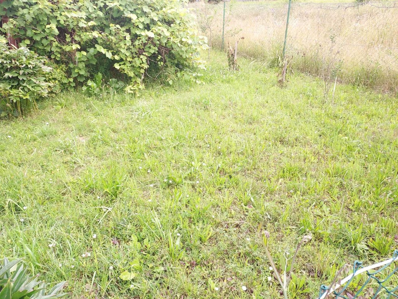 Działka rod Lublin Czechów, ul. Koncertowa. Zdjęcie 3