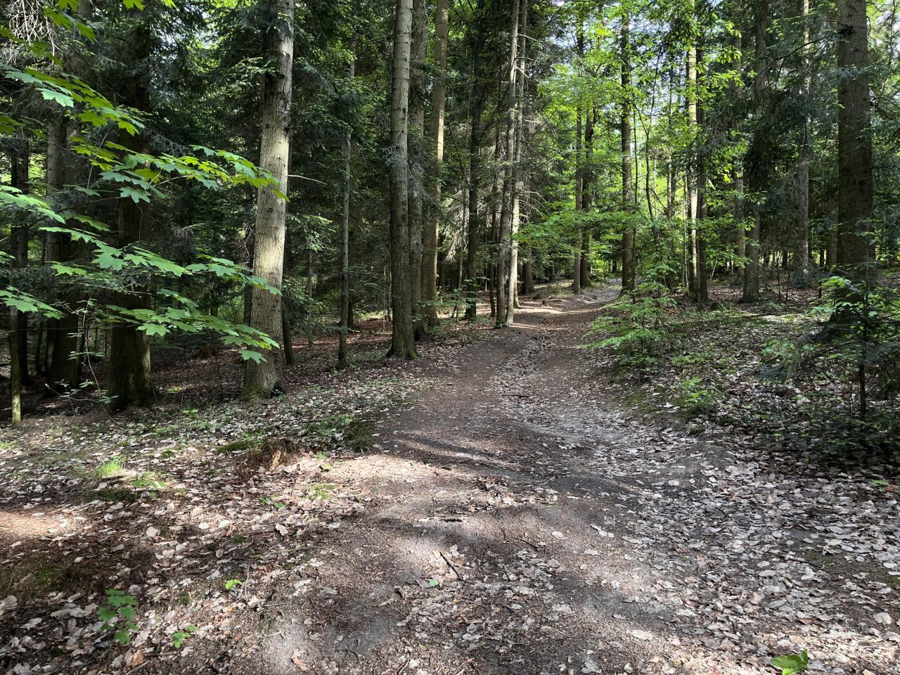 Działka budowlana Kornatka. Zdjęcie 7