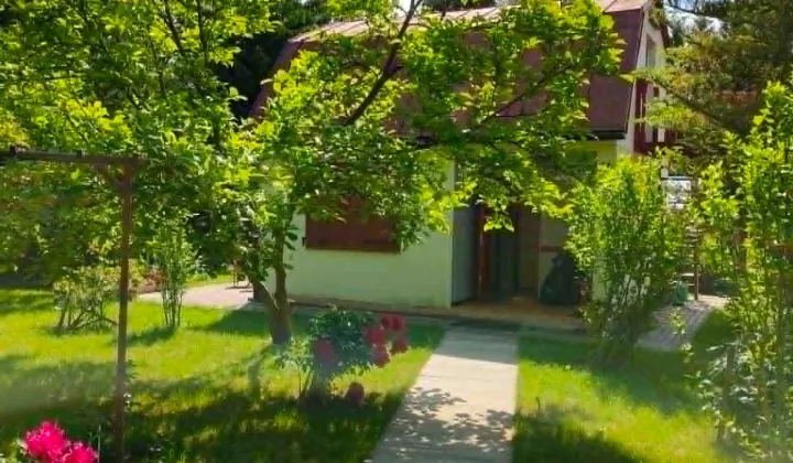 Działka rod Zamość, ul. Lipska