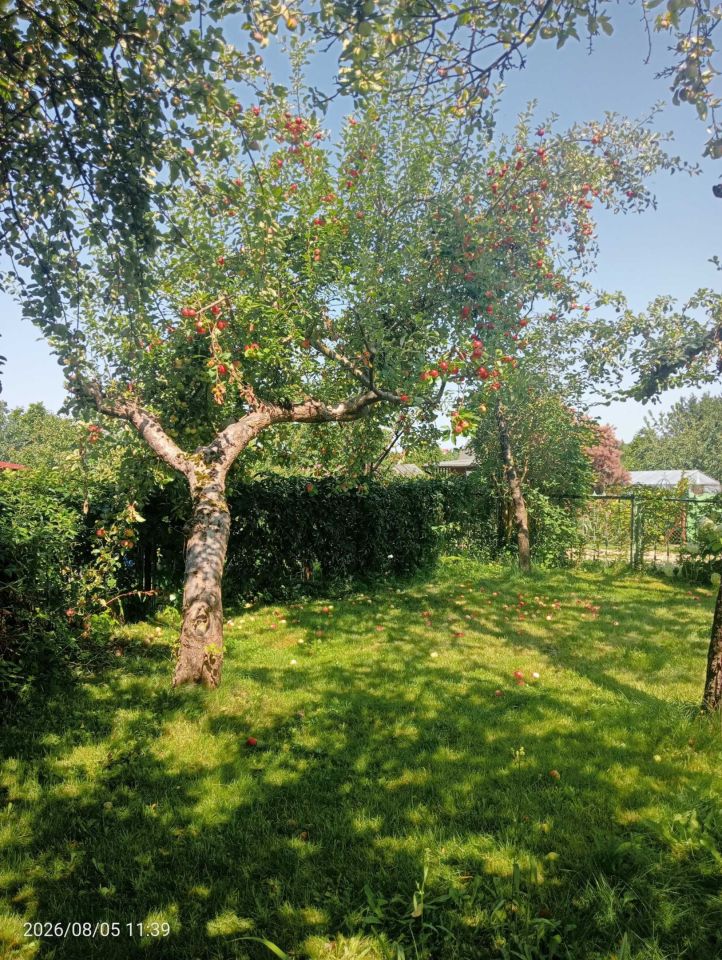 Działka rod Olsztyn. Zdjęcie 6