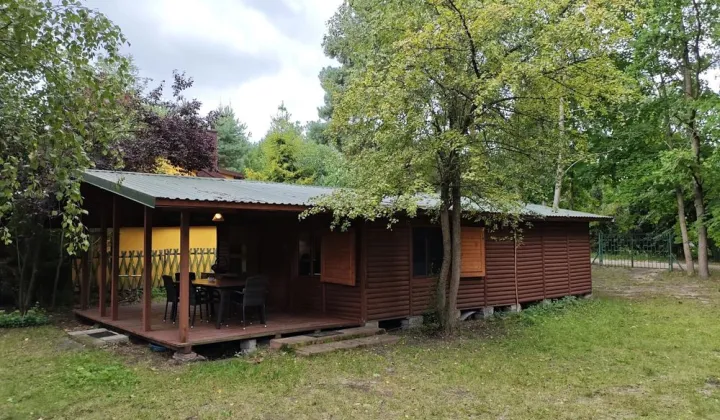 dom letniskowy Szczekarzewo, ul. Ptasia