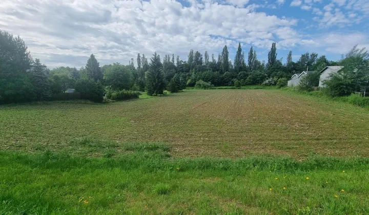 Działka inwestycyjna Jastrzębie-Zdrój Bzie Górne, ul. Pszczyńska