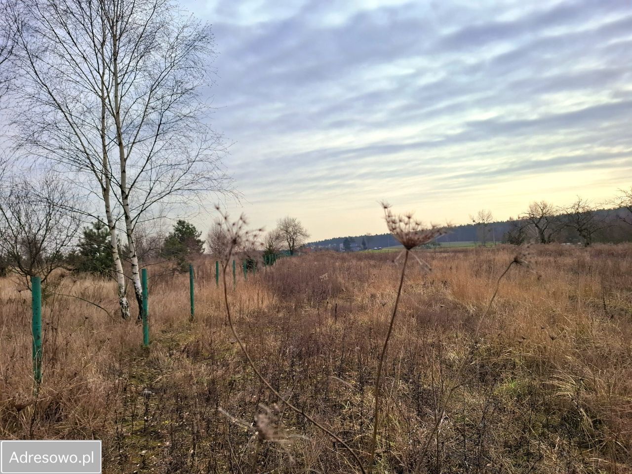 Działka budowlana Pniewy, ul. Wroniecka. Zdjęcie 6