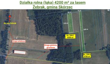 Działka rolna Żebrak