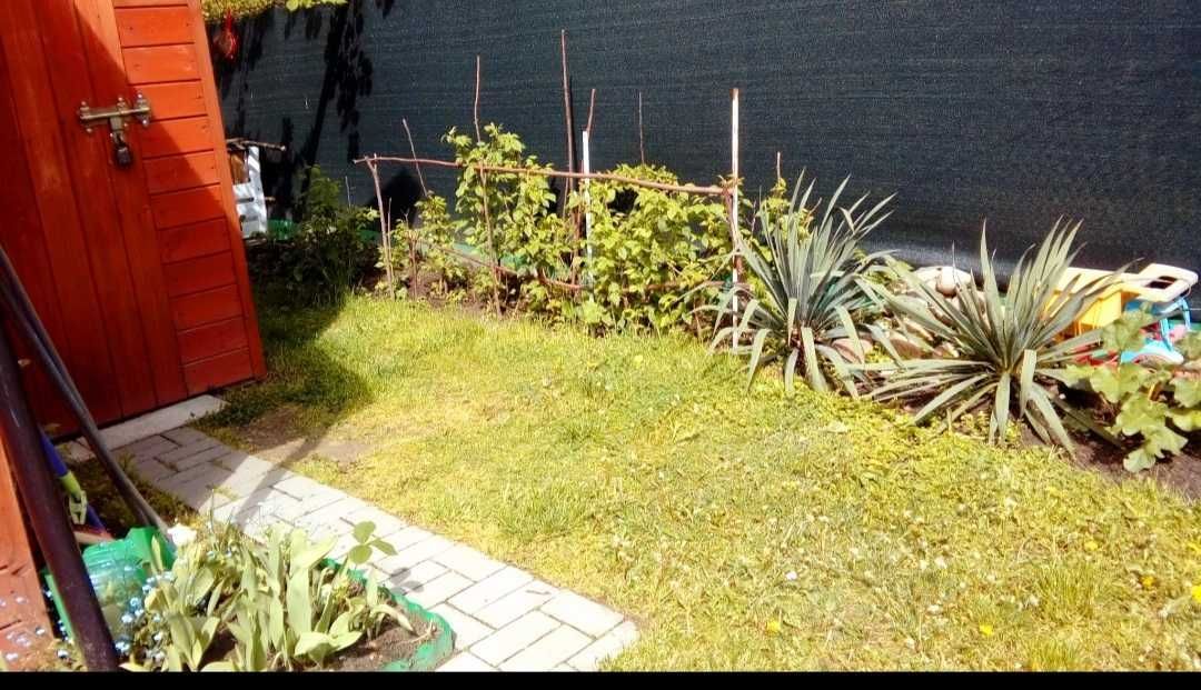 Działka rod Łagiewniki Nowe. Zdjęcie 2