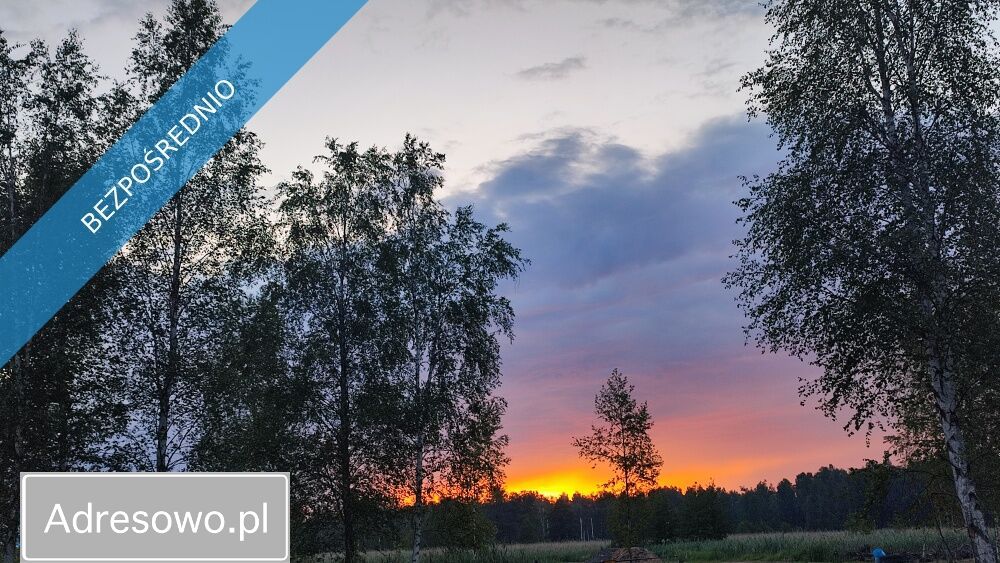 Działka rolna Szczechy Małe. Zdjęcie 6