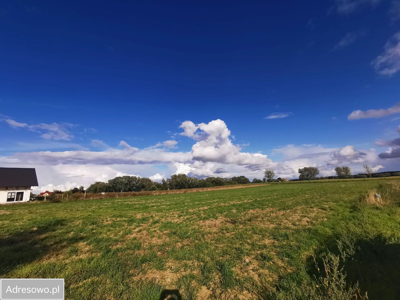 Działka budowlana Ceradz Kościelny, ul. Wspólna. Zdjęcie 5