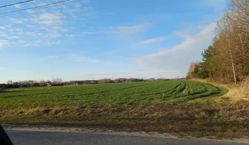 Działka na sprzedaż bez pośredników 
 
 Rozalin - Widok 5