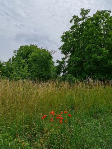Działka budowlana Oleszno, ul. Lednicka. Zdjęcie 7