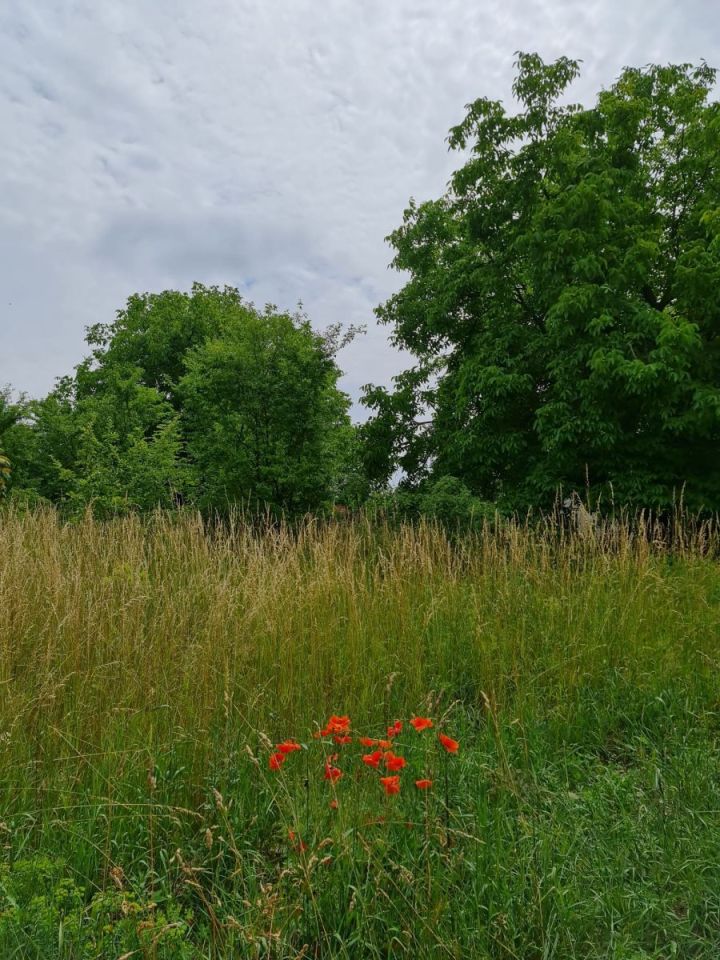 Działka budowlana Oleszno, ul. Lednicka. Zdjęcie 7