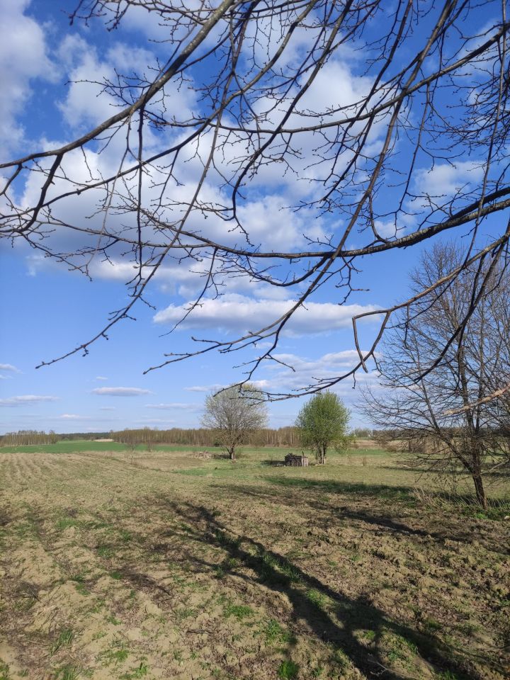 Działka rolno-budowlana Ostrów Północny. Zdjęcie 1