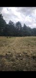 dom wolnostojący, 6 pokoi Jaszczów-Kolonia, Jaszczow kolonia. Zdjęcie 4