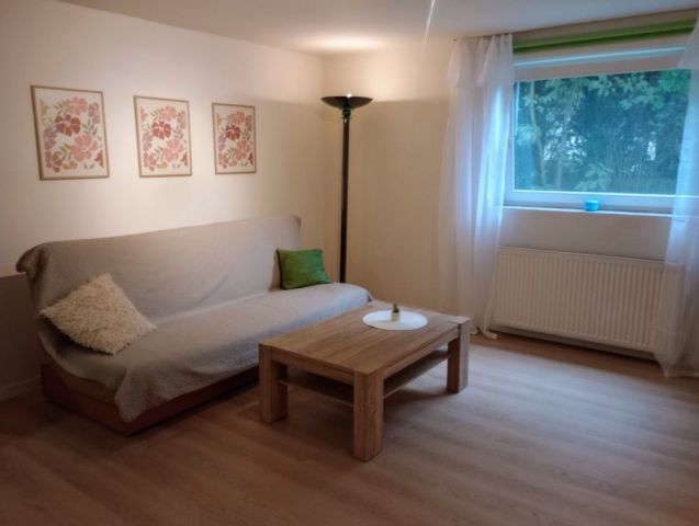 Mieszkanie 1-pokojowe Olsztyn Pieczewo. Zdjęcie 1