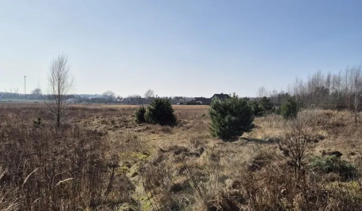 Działka budowlana Janczewo, ul. Długa