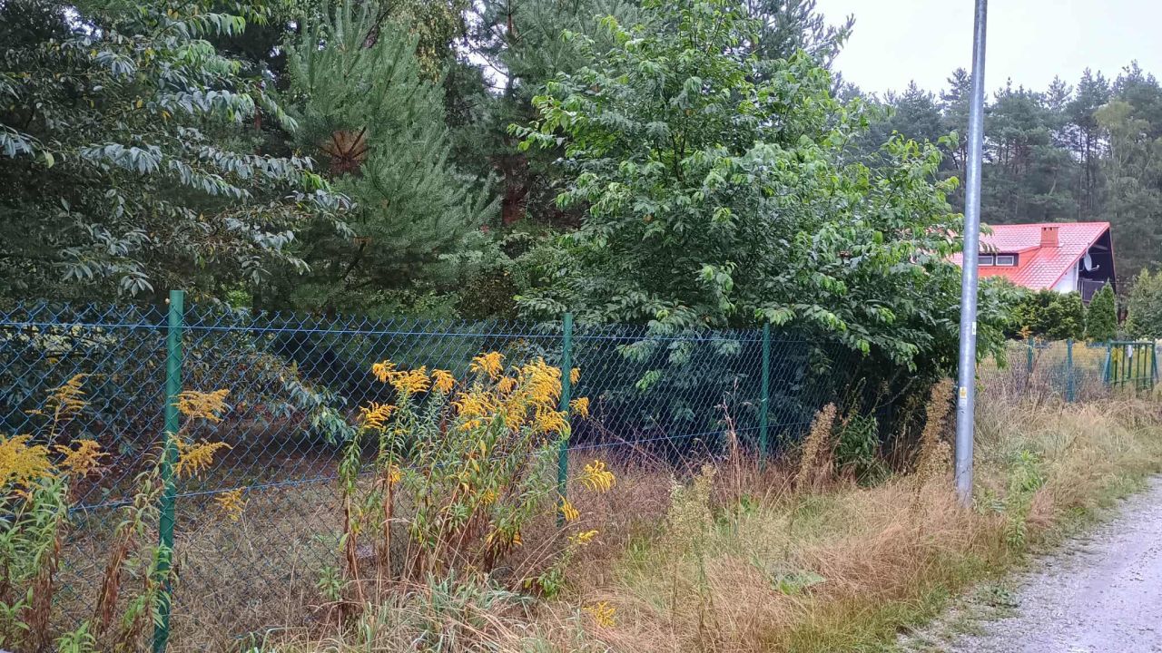 Działka budowlana Rosanów, ul. Wesoła. Zdjęcie 3