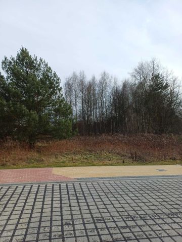 Działka budowlana Iłowa, ul. Miła. Zdjęcie 1