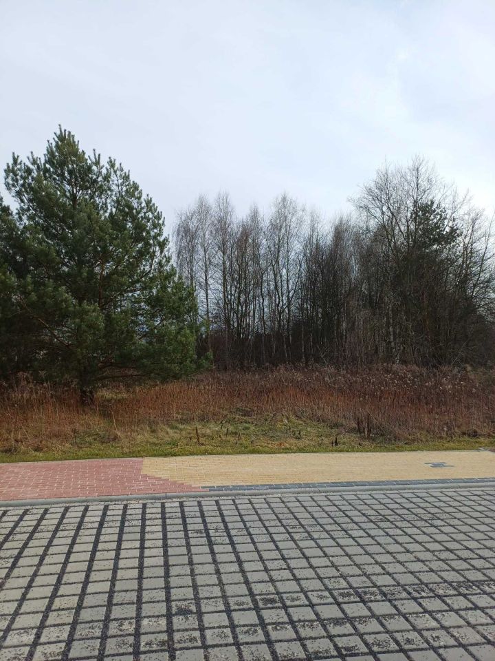 Działka budowlana Iłowa, ul. Miła. Zdjęcie 1