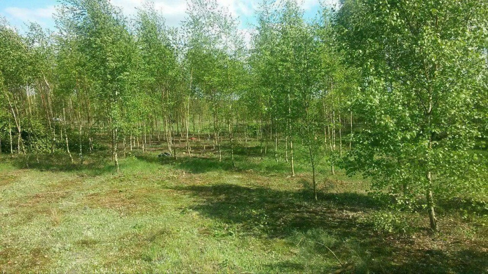 Działka budowlana Żelechów. Zdjęcie 2