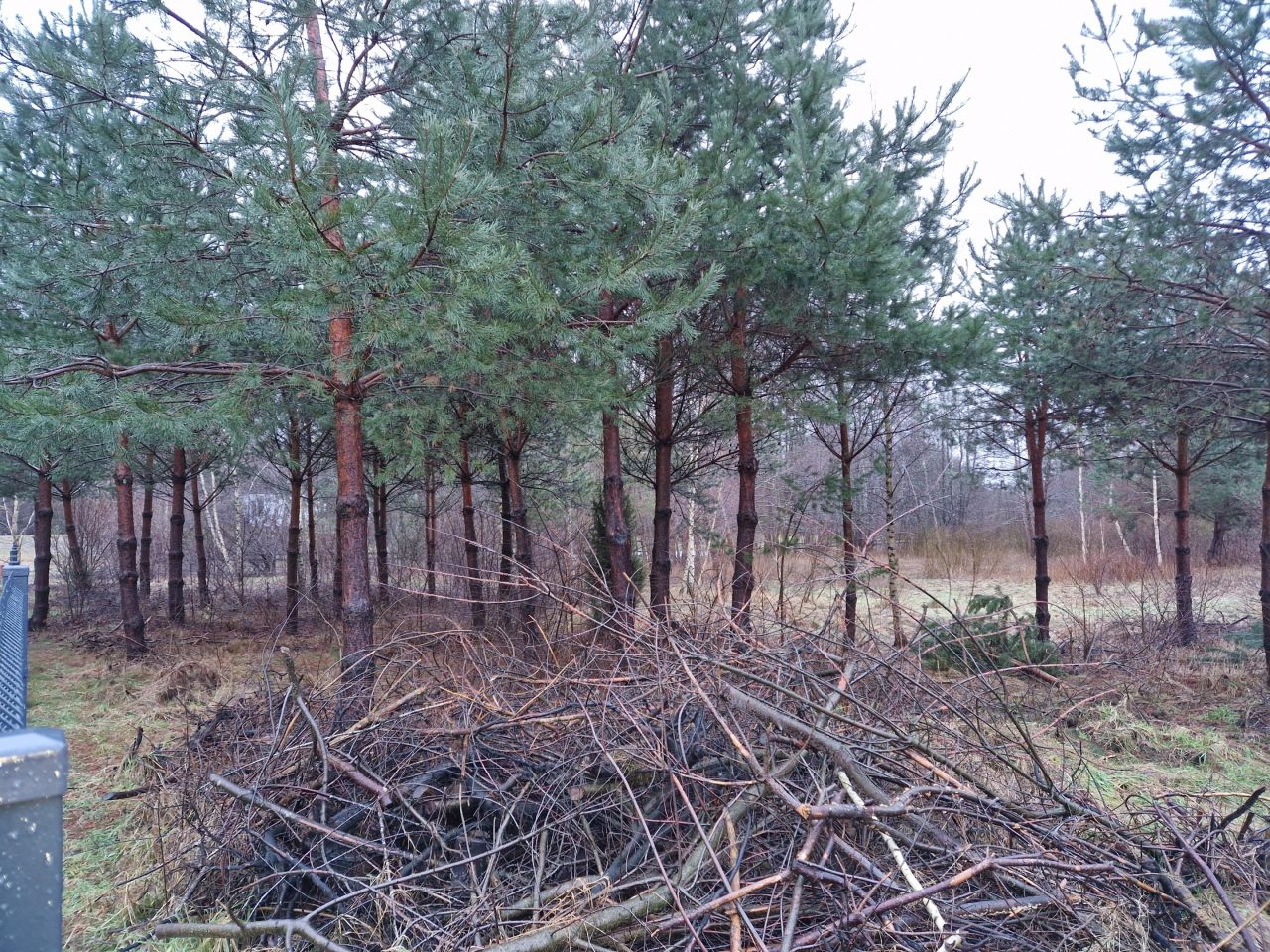 Działka budowlana Bartoszylas. Zdjęcie 15