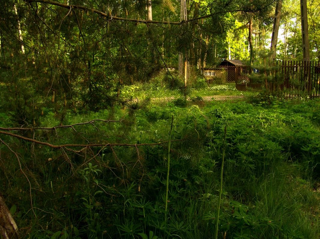 dom wolnostojący, 3 pokoje Magdalenka, ul. Piaskowa. Zdjęcie 30