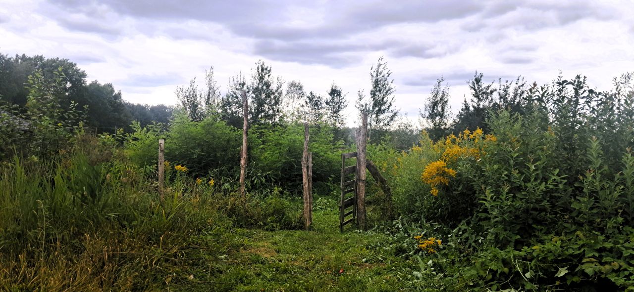 Działka budowlana Budy-Grzybek, ul. Alpejska. Zdjęcie 5