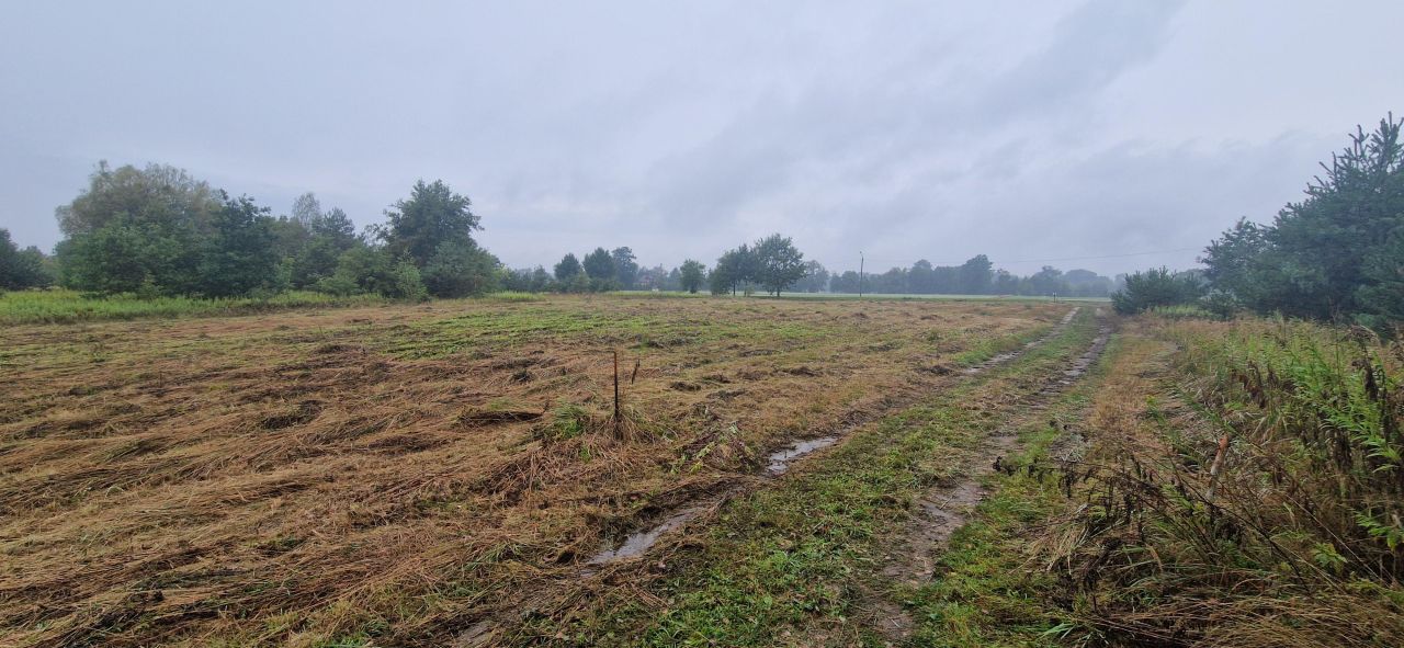 Działka rolna Secymin Polski. Zdjęcie 6