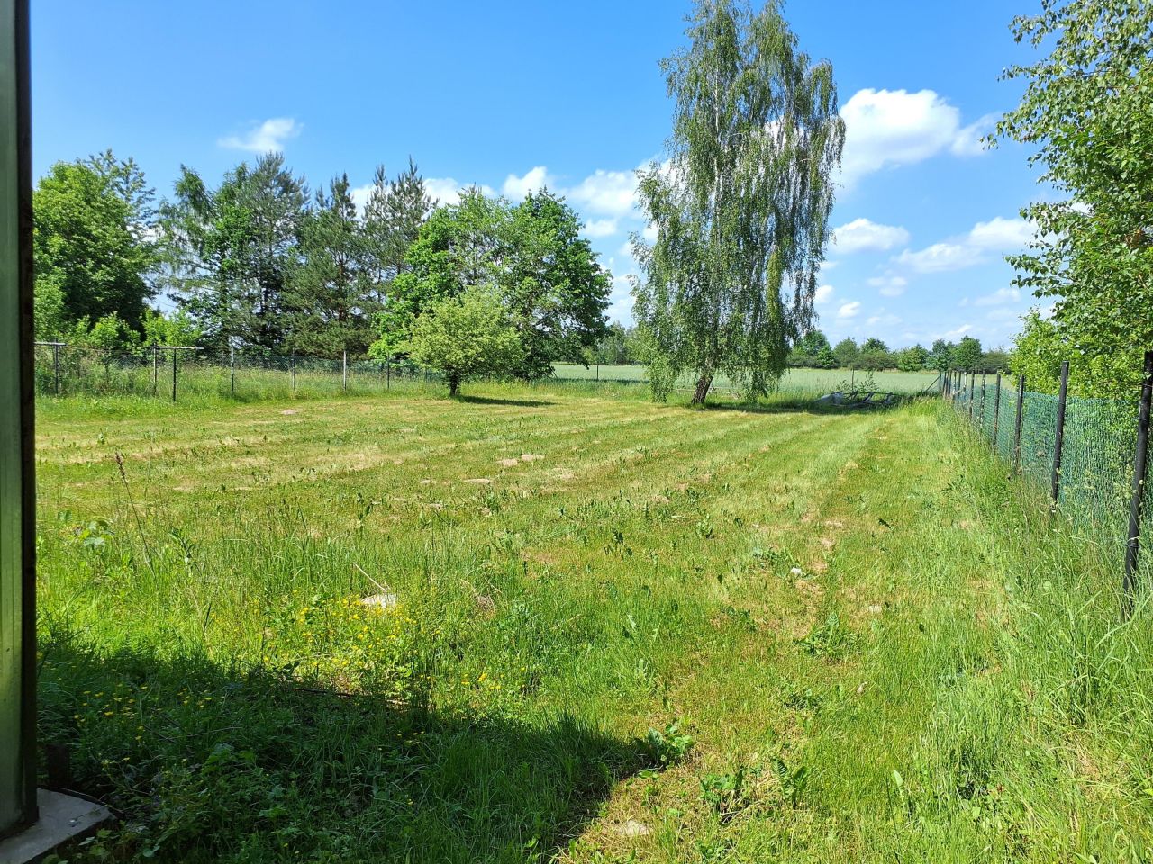 Działka rolna Gruszczyn, Gruszczyn. Zdjęcie 5