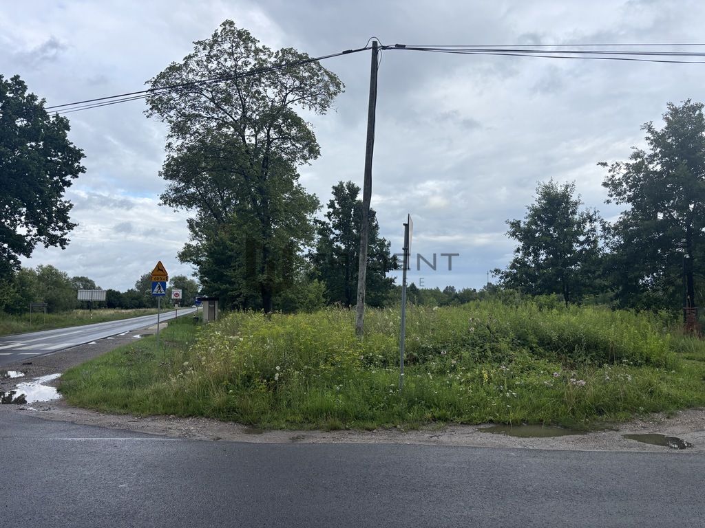 Działka inwestycyjna Mikówiec. Zdjęcie 2