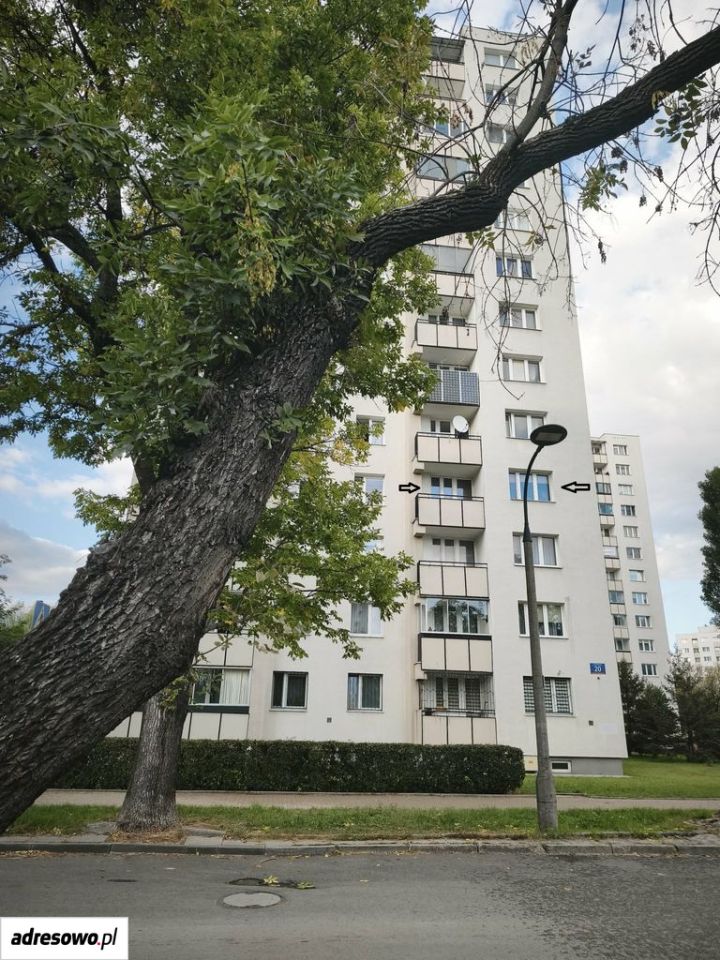 Zdjęcie 2