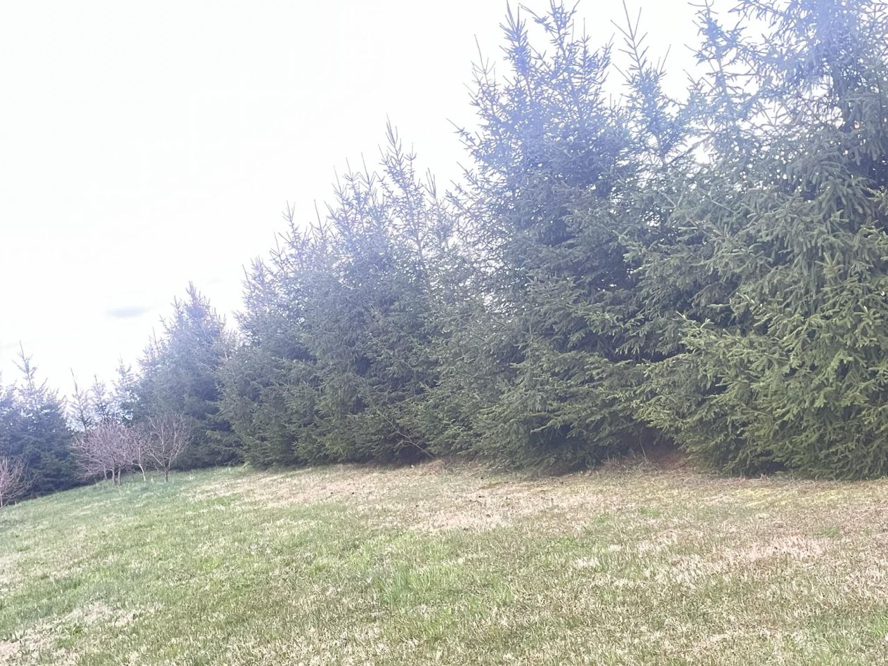 Działka budowlana Całowanie. Zdjęcie 7