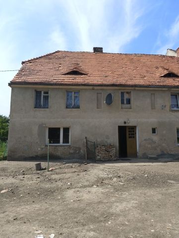 bliźniak Pichorowice. Zdjęcie 1