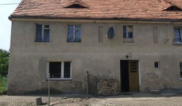 bliźniak Pichorowice
