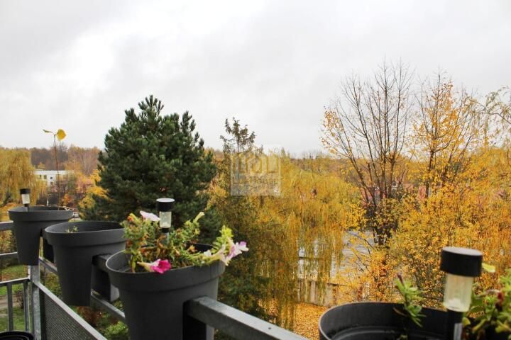 Mieszkanie 2-pokojowe Bytom Miechowice, ul. Reptowska. Zdjęcie 7