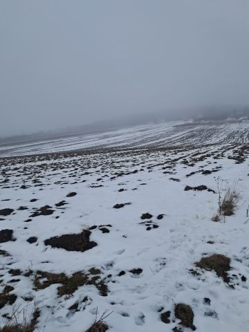 Działka budowlana Górki, ul. Słoneczna. Zdjęcie 10