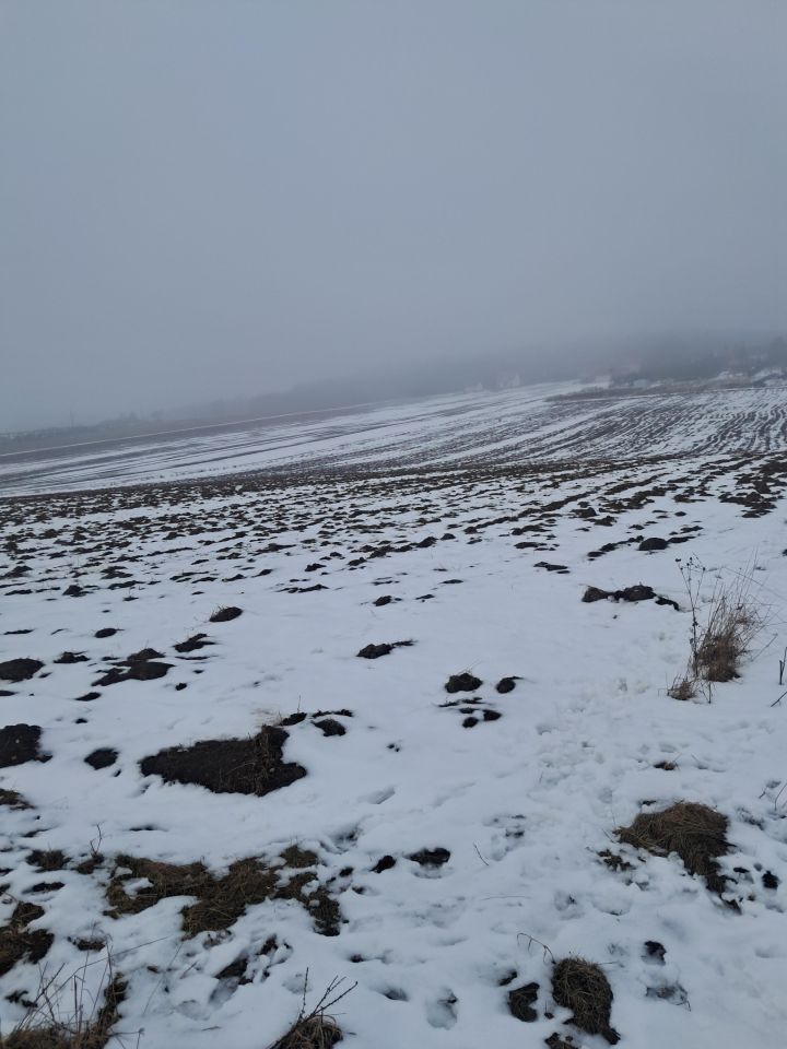 Działka budowlana Górki, ul. Słoneczna. Zdjęcie 10