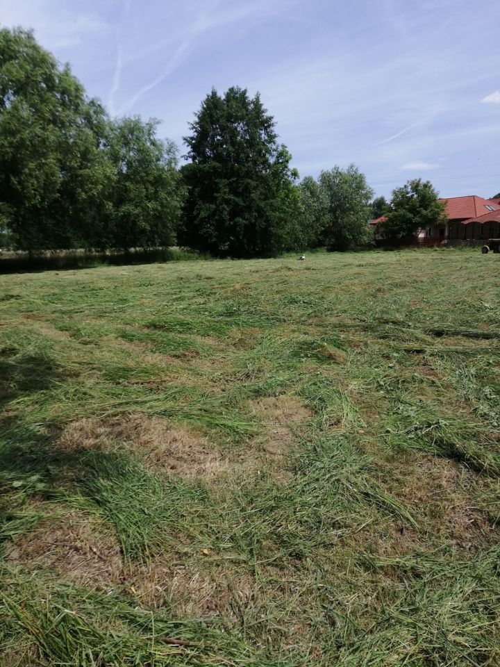 Działka budowlana Ropczyce Witkowice, ul. Mickiewicza. Zdjęcie 2