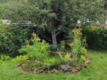 Działka rod Będzin Górki Małobądzkie, ul. Małobądzka. Zdjęcie 1