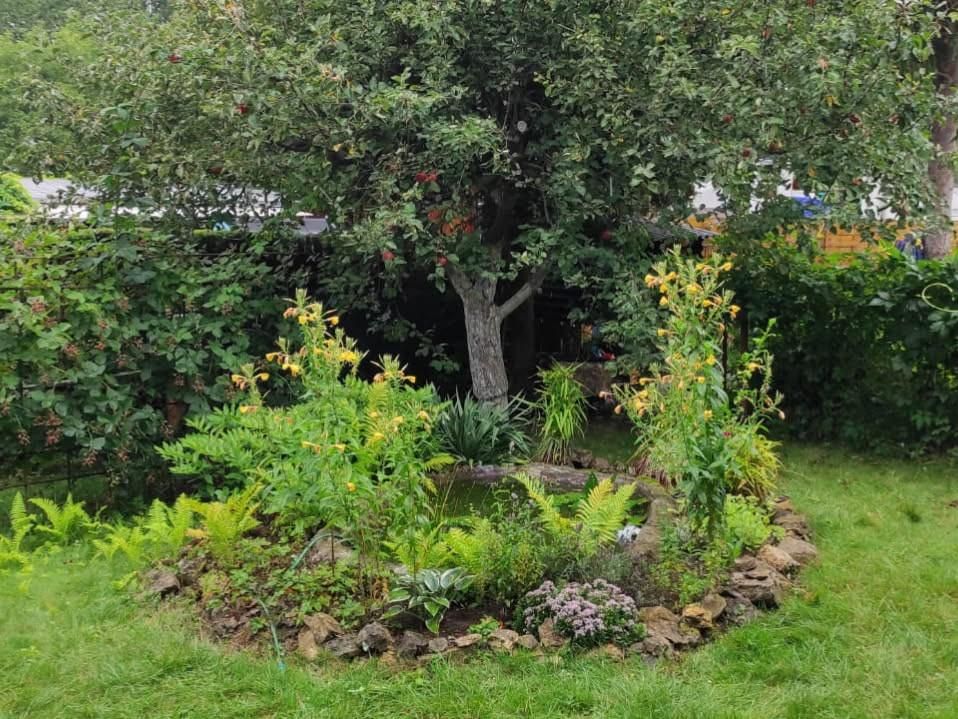 Działka rod Będzin Górki Małobądzkie, ul. Małobądzka. Zdjęcie 2