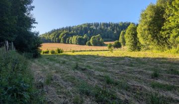 Działka budowlana Strachocin