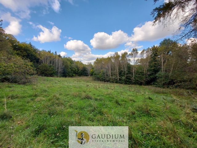 Działka Kobysewo, ul. Klasztorna. Zdjęcie 17