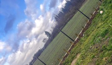 Działka budowlana Julinki