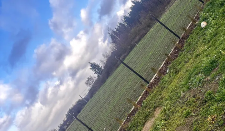 Działka budowlana Julinki