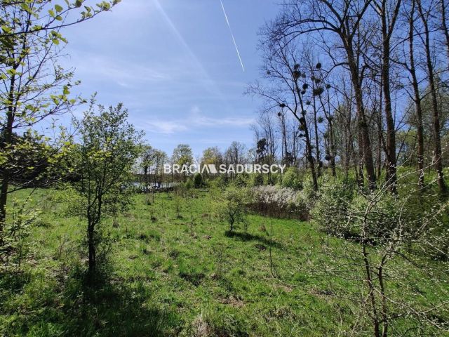 Działka rekreacyjna Łukta. Zdjęcie 6