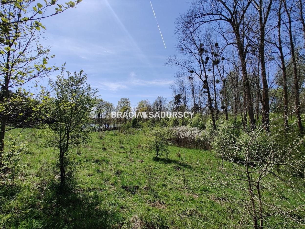 Działka rekreacyjna Łukta. Zdjęcie 6