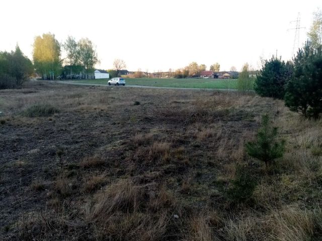 Działka rolno-budowlana Wojsławice. Zdjęcie 1