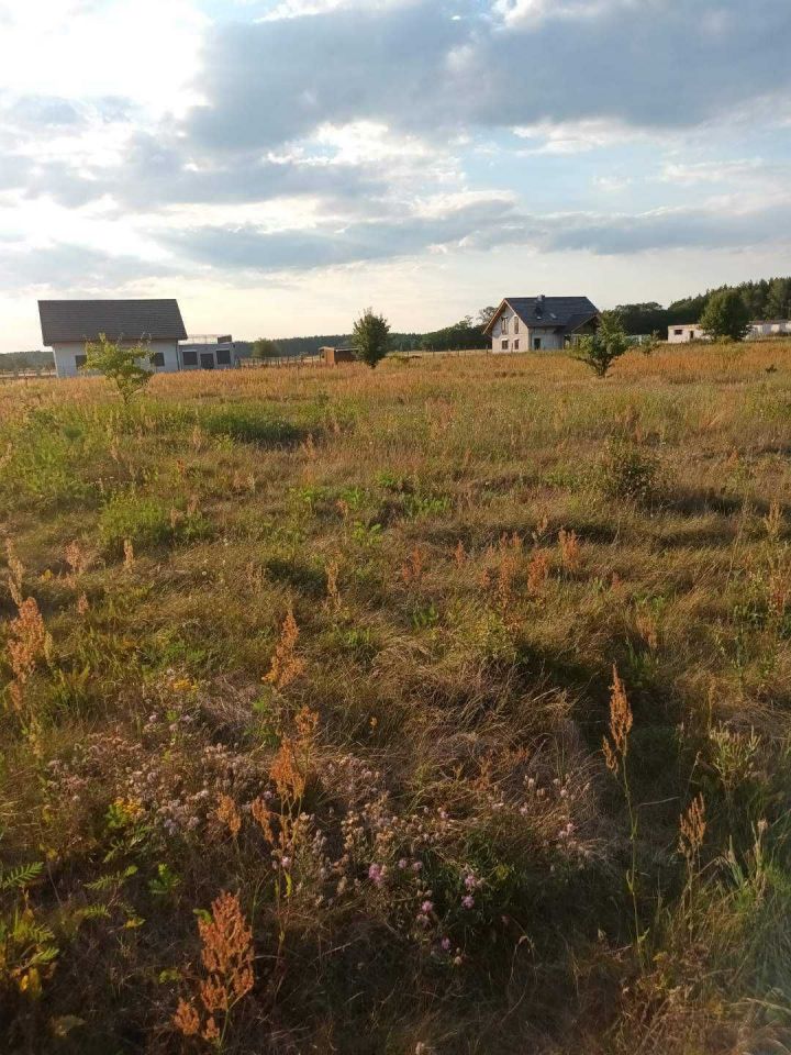 Działka budowlana Kostrzyn nad Odrą Szumiłowo. Zdjęcie 3