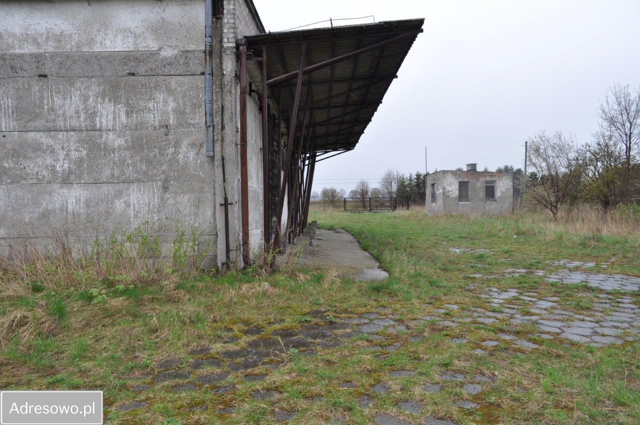 Hala/magazyn Płośnica. Zdjęcie 7