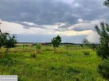 Działka rolna Brzezia Łąka, ul. Lipowa. Zdjęcie 1