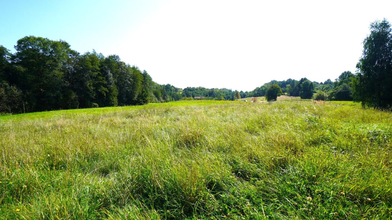 Działka rolno-budowlana Biecz. Zdjęcie 5