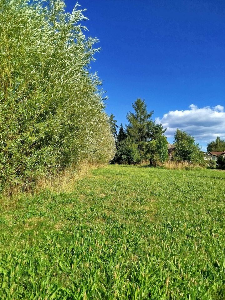 Działka budowlana Rudzica. Zdjęcie 4